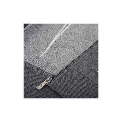 Sudadera Venum Shockwave 3 Gris