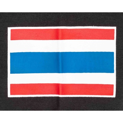 CAMISETA BENLEE THAI