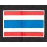 CAMISETA BENLEE THAI