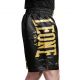 Pantalon Leone MMA DNA 