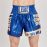 Short Kick/Thai Leone...