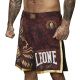 SHORT MMA LEONE "LEGIONARIVS II"