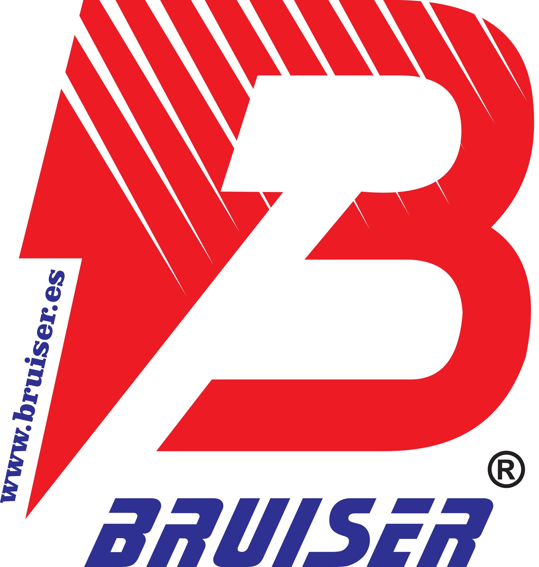 Bruiser